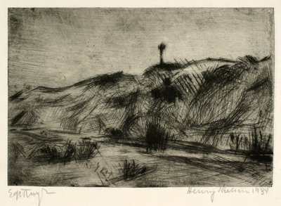 Duinlandschap met zeemerk door Henry Nielsen