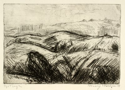 Sterk heuvelachtig landschap door Henry Nielsen