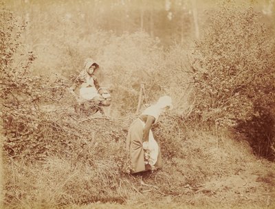  door Henry Peach Robinson