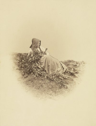 De mei verzamelaar door Henry Peach Robinson