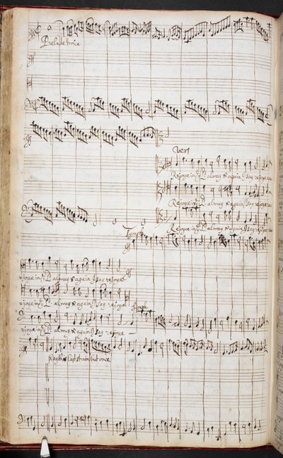 Purcell