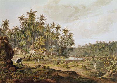 Uitzicht nabij Point du Galle, Ceylon, gegraveerd door Daniel Havell (1785-1826) gepubliceerd in 1809 door Henry Salt