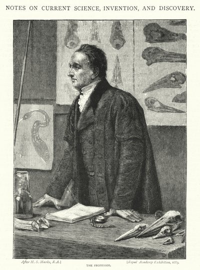 De Professor door Henry Stacey (after) Marks