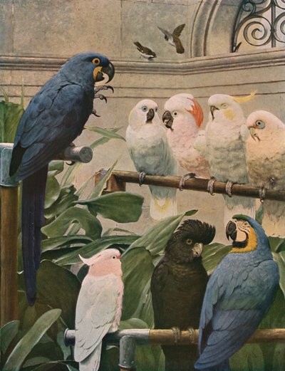 Een selecte commissie, 1891, c1930 door Henry Stacey Marks