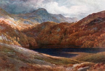  door Henry Sutton Palmer
