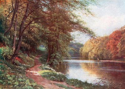 Aan de rivier de Ayr, Ayrshire (kleurenlitho) door Henry Sutton Palmer