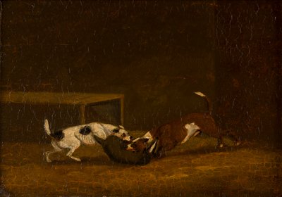 Twee terriërs bijten een das, c.1805-51 door Henry Thomas (follower of) Alken