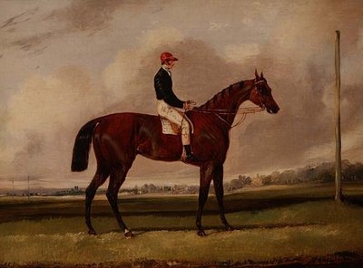 Bruin renpaard met een jockey op een renbaan door Henry Thomas Alken