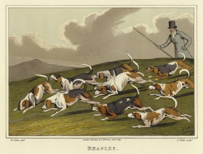 Beagles door Henry Thomas Alken