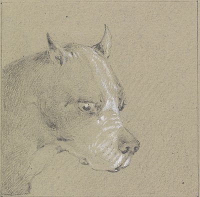Hoofd en schouders van een bokserhond door Henry Thomas Alken