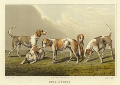 Jachthonden (chromolitho) door Henry Thomas Alken