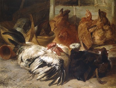 Een zilvergrijze Rosecomb haan en een witgekuifde zwarte Pool met twee buff hennen door Henry Weekes
