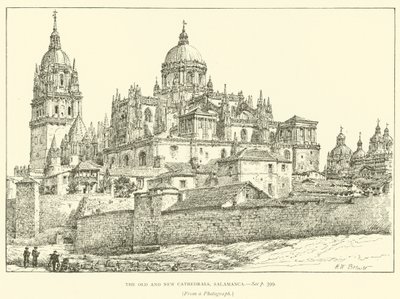 De Oude en Nieuwe Kathedralen, Salamanca door Henry William Brewer