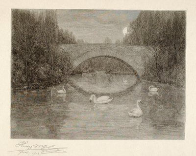 Avond, Zwanenmeer, Central Park, New York door Henry Wolf
