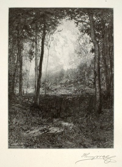 In de Adirondacks door Henry Wolf