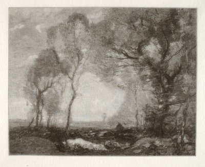 Landschap door Henry Wolf