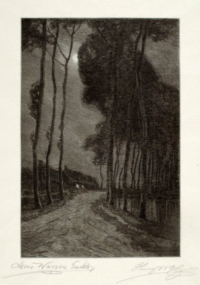 Moonlight in Holland door Henry Wolf