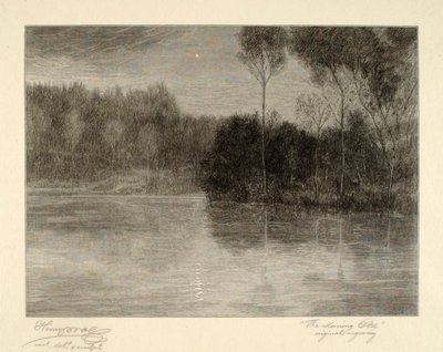 De Morgenster door Henry Wolf