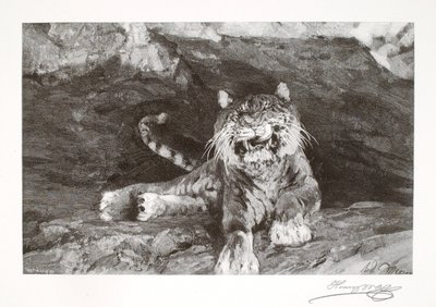 Tijger door Henry Wolf