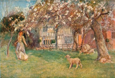 Lammetjes, ca. 1904 door Herbert Alexander Collins
