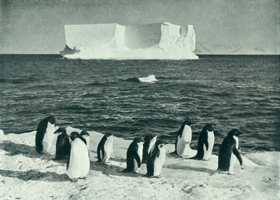 Een ijsberg drijvend in McMurdo Sound, c1910-1913, 1913 door Herbert Ponting