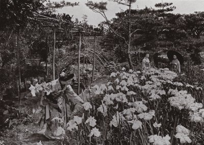 Bij de Iris Tuin bij Hori-kiri door Herbert Ponting