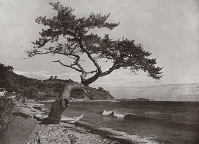 Atami (zw/w foto) door Herbert Ponting