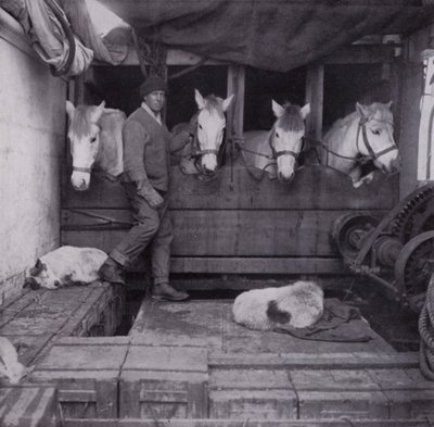 Kapitein Oates met pony