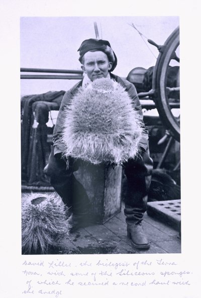 David Lille, bioloog van de 