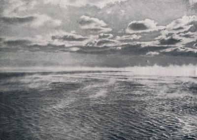 Vorst-Rook door Herbert Ponting