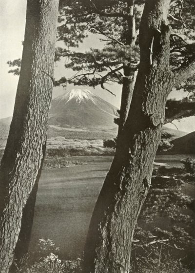 Fuji door de dennen van het Motosu-meer, 1910 door Herbert Ponting