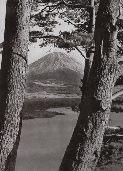 Fuji en de pijnbomen (zwart-wit foto) door Herbert Ponting