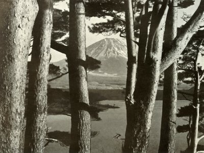 Fuji en de Pijnbomen, 1910 door Herbert Ponting
