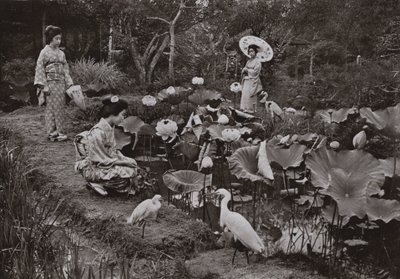 In een lotustuin (zwart-wit foto) door Herbert Ponting