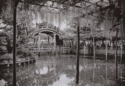Kameido door Herbert Ponting