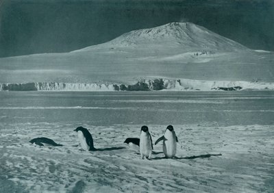 Mount Erebus, ca. 1911, 1913 door Herbert Ponting
