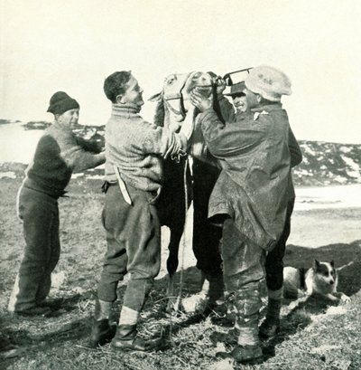 Pony neemt Whisky, 8 februari, 1911, 1913 door Herbert Ponting
