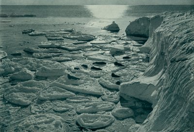 Zeehonden die zich koesteren op nieuw gevormd pannenkoekijs bij Cape Evans, ca. 1910-1913, 1913 door Herbert Ponting
