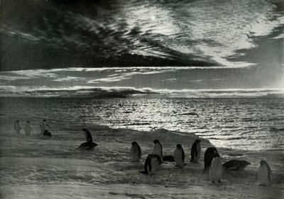De Middernachtzon in McMurdo Sound, c1910-1913 door Herbert Ponting