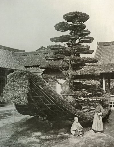De Dennenboom Junk bij Kinkakuji, 1910 door Herbert Ponting