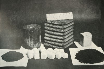 De Sledging Rantsoen van de Poolpartij: Pemmican, koekjes, boter, cacao, suiker en thee door Herbert Ponting