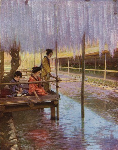 Onder de paarse Wisteria (foto) door Herbert Ponting