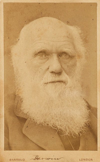 Portret van Charles Darwin 1809-1882 door Herbert Rose Barraud