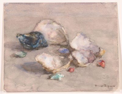 Schelpen op het strand door Herman Bogman (signed by artist)