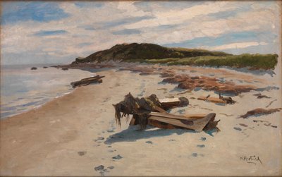 Cape Cod, Strand door Herman Hartwich