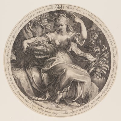 Flora door Herman Jansz. Muller