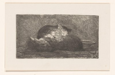 Twee katten door Herman Johannes van der Weele