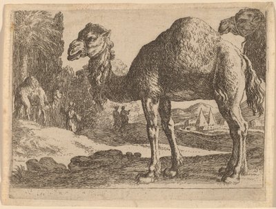 Kamelen door Herman van Swanevelt