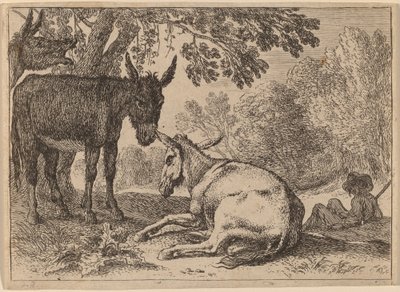 Ezels door Herman van Swanevelt