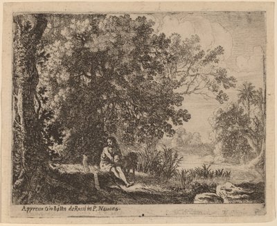 Johannes de Doper in de wildernis door Herman van Swanevelt